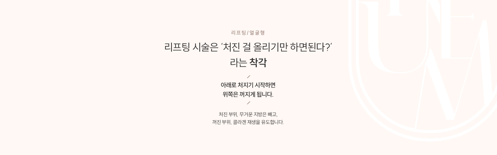 리프팅/얼굴형 타이틀