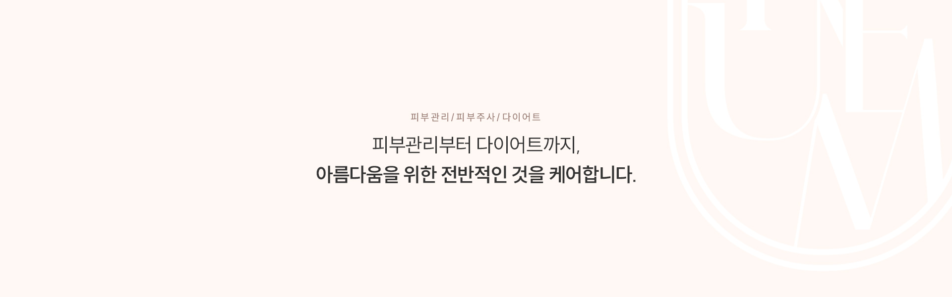 피부관리/피부주사/다이어트 타이틀